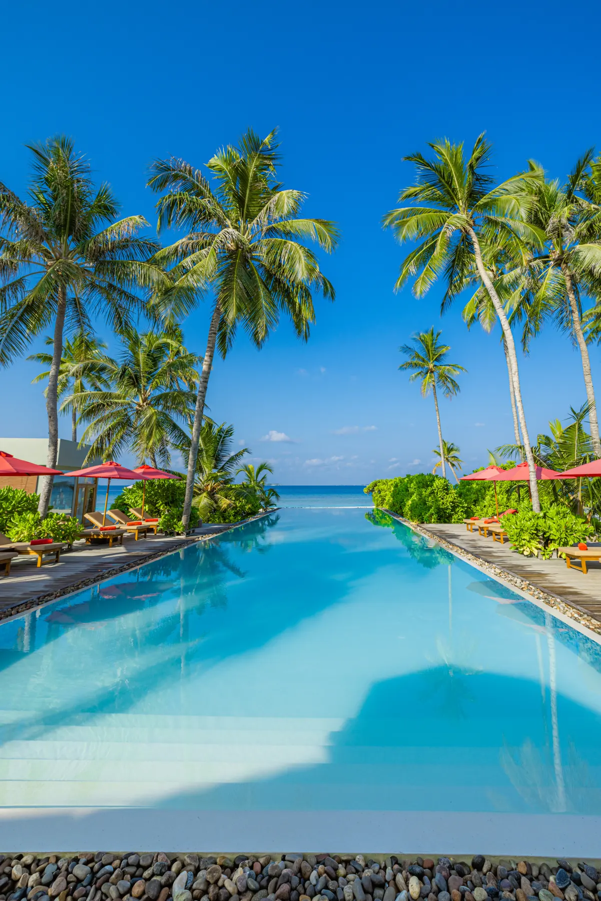 Palm-lined luxury resort infinity pool overlooking the ocean